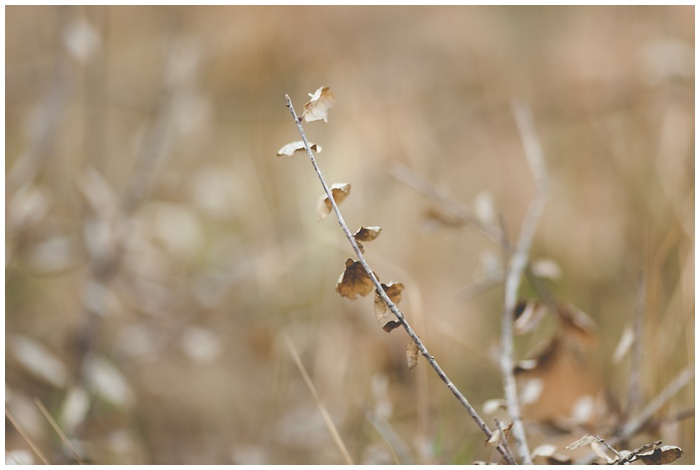 San_Diego_photographers_los_penasquitos_preserve_mother_son_portraits_love_NEMA_photography_outdoors_natural_light_0526.jpg