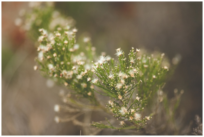 San_Diego_photographers_los_penasquitos_preserve_mother_son_portraits_love_NEMA_photography_outdoors_natural_light_0527.jpg