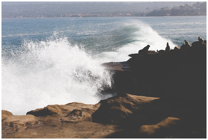 Wedding_photographer_la_jolla_beach_gods_creation_beauty_water_sand_inner_stregnth