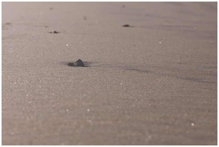 Wedding_photographer_la_jolla_beach_gods_creation_beauty_water_sand_inner_stregnth