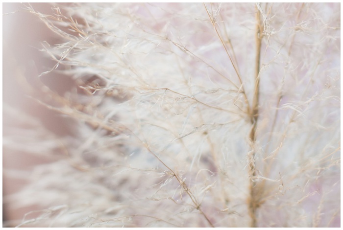 San_Diego_photographers_wedding_engagement_session_lake_miramar_fields_trails_love_Miramar-San_diego_photographer_NEMA_0614.jpg