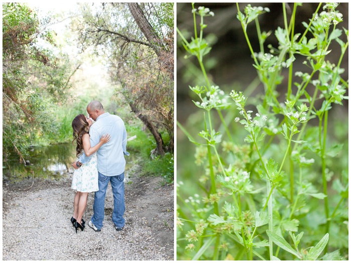 Engagement Session, fields in San Diego, natural Light, couple, love, sunflare, natural light, wedding photographer