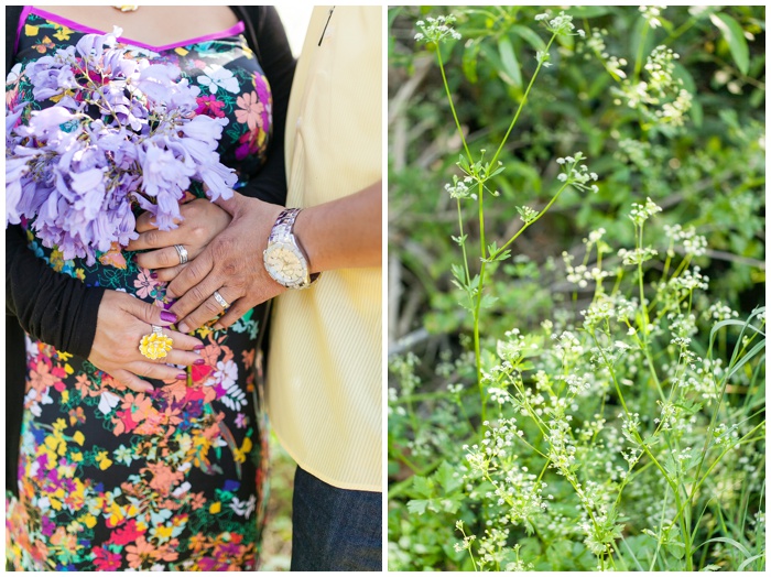 Sunlight, natural light photographer, fields, trails, san diego, photographer, nature venue, los, penasquitos preserve, rancho penasquitos photographer, maternity photographer