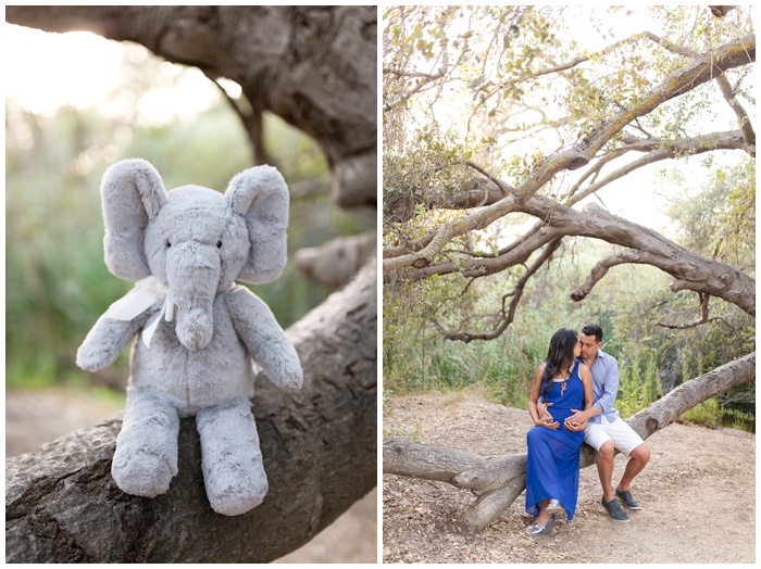 Maternity photos, maternity session, maternity photographer, los penasquitos preserve, sun flare, nature, natural light photography