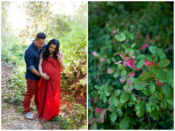 Maternity photography, portraits, NEMA, san diego, photographers, baby bump, maternity