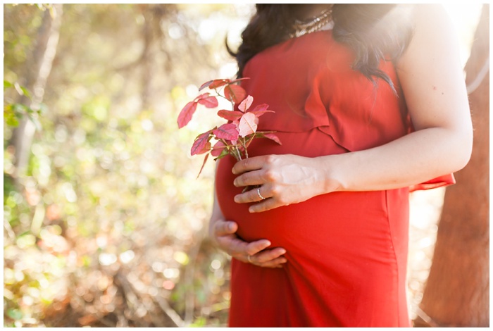 Maternity photography, portraits, NEMA, san diego, photographers, baby bump, maternity