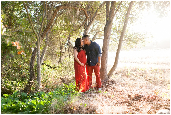 Maternity photography, portraits, NEMA, san diego, photographers, baby bump, maternity