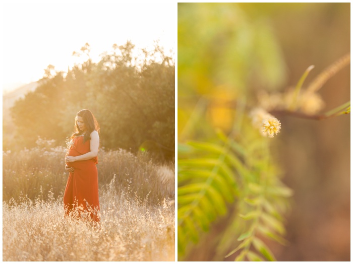 Maternity photography, portraits, NEMA, san diego, photographers, baby bump, maternity