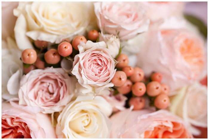 wedding bowl, la jolla, san diego wedding photographer, NEMA, beach ceremony, empress hotel, la jolla, beach, Cuvier club, blush wedding, pink, natural colors, pick, entourage,wedding dress, rings_2266.jpg