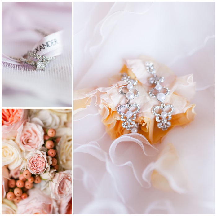 wedding bowl, la jolla, san diego wedding photographer, NEMA, beach ceremony, empress hotel, la jolla, beach, Cuvier club, blush wedding, pink, natural colors, pick, entourage,wedding dress, rings_2283.jpg