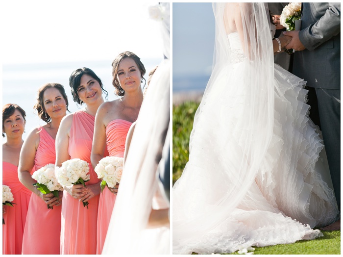 wedding bowl, la jolla, san diego wedding photographer, NEMA, beach ceremony, empress hotel, la jolla, beach, Cuvier club, blush wedding, pink, natural colors, pick, entourage,wedding dress, rings_2311.jpg