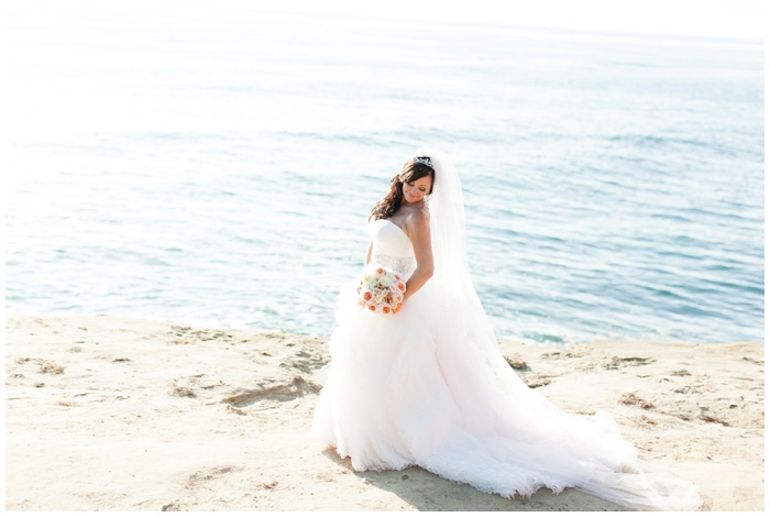 wedding bowl, la jolla, san diego wedding photographer, NEMA, beach ceremony, empress hotel, la jolla, beach, Cuvier club, blush wedding, pink, natural colors, pick, entourage,wedding dress, rings_2337.jpg