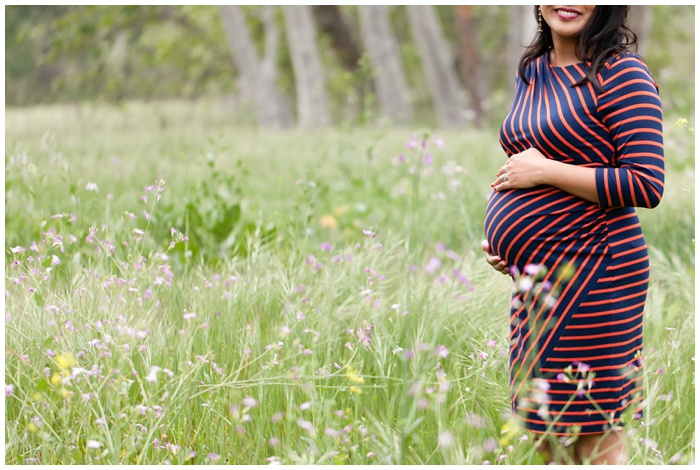 NEMA_Photography_maternity-pregnancy-fields-los-penasquitos-preserve-san-diego=maternity-photographer_4018.jpg