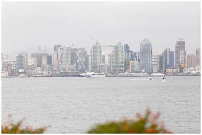 San_Diego_wedding_photographer_weddings_Tom_Hams_LightHouse_Hilton_Bayfront_Bride_Groom_getting_married_NEMA_marriage-weddings-blush_lavendar__5285.jpg